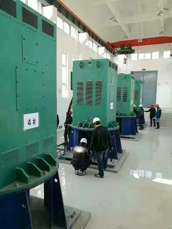 元江某污水处理厂使用我厂的立式高压电机安装现场
